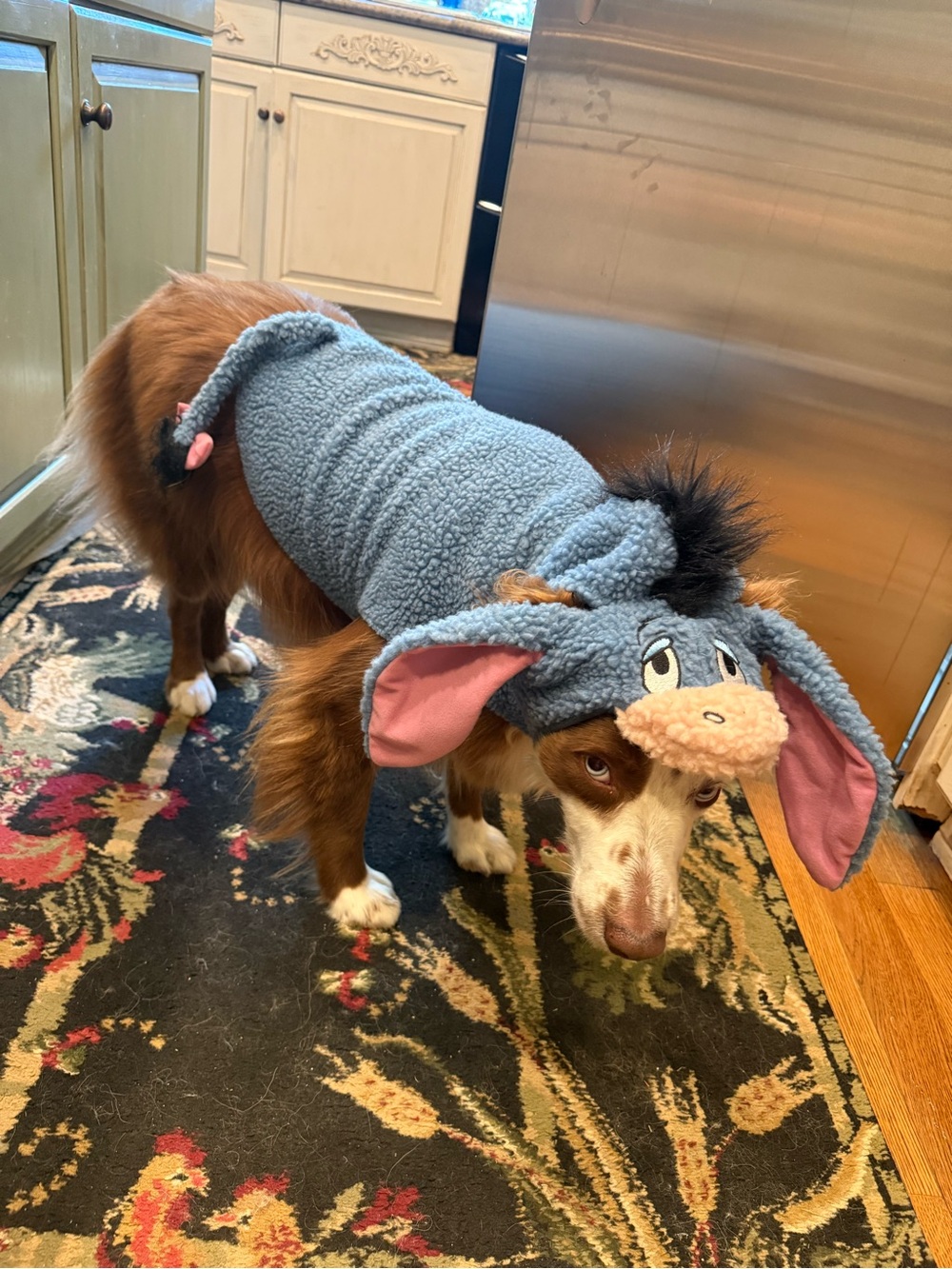 Eeyore Dog Costume with Pink Ears - Picture 4 of 4